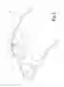 Fig. 02 - Embeddable Eyewear Cleaning Cloth and Housing