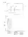 Fig. 22 - Optical element and exposure apparatus