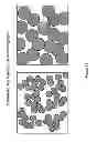 Fig. 35 - System and method for detecting oil or gas underground using light scattering spectral analyses
