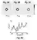 Fig. 04 - Nanophotonic light-field sensor