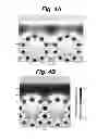Fig. 05 - Nanophotonic light-field sensor
