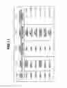 Fig. 12 - Image forming apparatus operable to form data based on driver type, method of controlling image forming apparatus, and storage medium