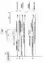 Fig. 18 - Information processing system, method and recording medium