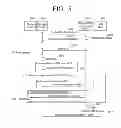 Fig. 06 - Control point, image forming apparatus, and method of controlling printing