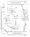 Fig. 01 - Systems and methods for routing a facsimile confirmation based on content