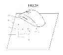 Fig. 30 - Input apparatus and method for acquiring a scan image