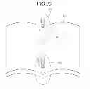 Fig. 34 - Input apparatus and method for acquiring a scan image