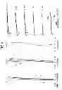 Fig. 05 - Scanner lens, image reader and image forming device