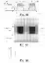 Fig. 08 - Illumination system of a microlithographic projection exposure apparatus