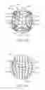 Fig. 12 - Electrochromic multi-layer devices with composite current modulating structure