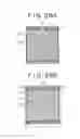 Fig. 30 - IMAGE DISPLAY DEVICE WITH ALIGNING UNIT AND MANUFACTURING METHOD THEREOF