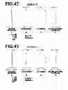 Fig. 23 - Imaging lens and imaging apparatus