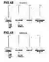 Fig. 26 - Imaging lens and imaging apparatus