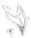 Fig. 02 - Portable computer