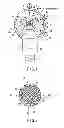 Fig. 02 - Lighting device