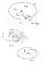 Fig. 02 - Small cell mobility enhancement