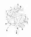 Fig. 03 - T-star interconnection network topology