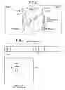 Fig. 04 - Small-scale base station, communication system, and communication method