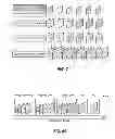 Fig. 06 - Adaptive up-sampling filter for scalable video coding