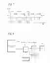 Fig. 08 - WIRELESS AUDIO TRANSMISSION SYSTEM, RECEIVER, VIDEO CAMERA AND AUDIO MIXER