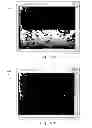 Fig. 09 - Method of processing an image of a visual scene