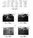 Fig. 22 - Method of processing an image of a visual scene