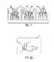 Fig. 08 - System and method for contactless multi-fingerprint collection