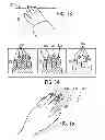 Fig. 09 - System and method for contactless multi-fingerprint collection
