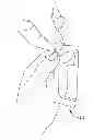 Fig. 01 - POUCH, METHOD OF MANUFACTURING A POUCH AND A METHOD OF DISPENSING A PRODUCT FROM A POUCH
