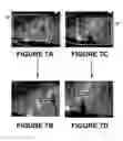 Fig. 09 - Methods and systems for video retargeting using motion saliency