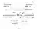 Fig. 12 - Burst mode to continuous mode converter