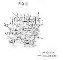 Fig. 10 - Charging device