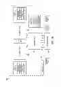 Fig. 03 - Linked vacuum processing tools and methods of using the same