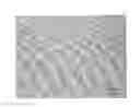 Fig. 01 - Alpha + beta or beta TITANIUM ALLOY AND METHOD FOR PRODUCTION THEREOF