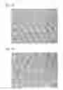 Fig. 03 - Alpha + beta or beta TITANIUM ALLOY AND METHOD FOR PRODUCTION THEREOF