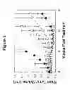 Fig. 07 - Antibody therapy