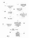 Fig. 03 - Magnetic calcium phosphate nanoparticles, applications and methods of preparation thereof