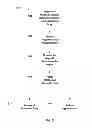 Fig. 08 - Magnetic calcium phosphate nanoparticles, applications and methods of preparation thereof