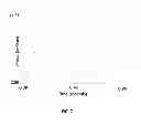 Fig. 10 - Magnetic calcium phosphate nanoparticles, applications and methods of preparation thereof