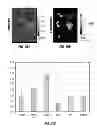 Fig. 08 - Labeled, non-peptidic, multivalent integrin antagonist compounds; methods for synthesis and uses thereof