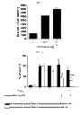 Fig. 06 - MICROVESICLES DERIVED FROM NUCLEATED, MAMMALIAN CELLS AND USE THEREOF