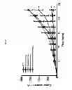 Fig. 22 - MICROVESICLES DERIVED FROM NUCLEATED, MAMMALIAN CELLS AND USE THEREOF