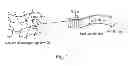 Fig. 02 - Beta sheet tapes ribbons in tissue engineering