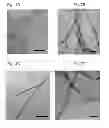 Fig. 09 - Beta sheet tapes ribbons in tissue engineering