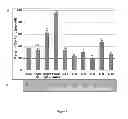 Fig. 02 - Methods useful in studying or modulating skin or hair pigmentation, plant extracts for use in compositions and cosmetic care method