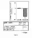 Fig. 09 - Methods useful in studying or modulating skin or hair pigmentation, plant extracts for use in compositions and cosmetic care method