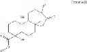 Fig. 02 - NOVEL USE