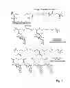 Fig. 02 - CYCLODEXTRIN-BASED POLYMERS FOR THERAPEUTICS DELIVERY