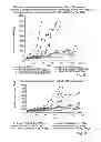 Fig. 07 - CYCLODEXTRIN-BASED POLYMERS FOR THERAPEUTICS DELIVERY