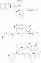 Fig. 44 - CYCLODEXTRIN-BASED POLYMERS FOR THERAPEUTICS DELIVERY